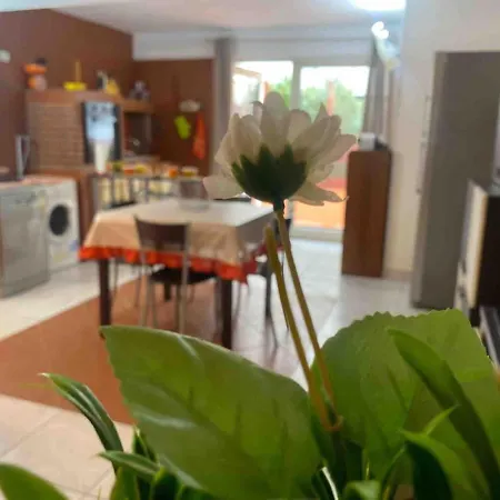 One Apartment