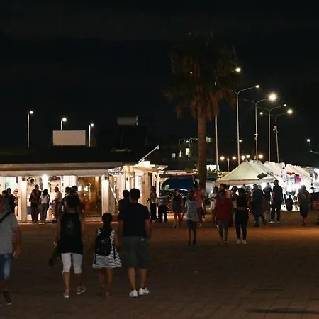 One Appartamento Falerna Scalo