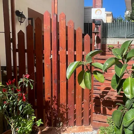 One דירה Falerna Scalo