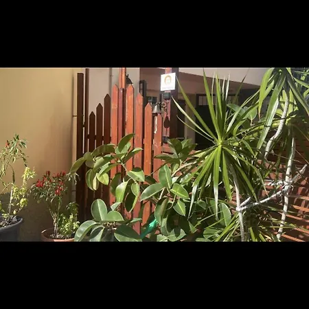 One Apartment *
